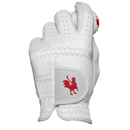 The Sussex golf glove holding a golf club