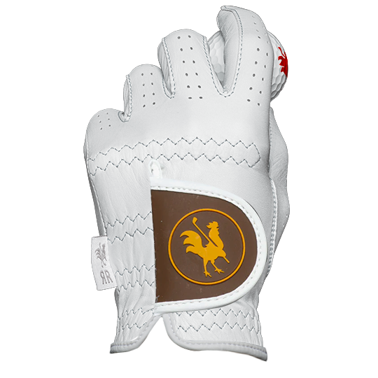 The Comet golf glove