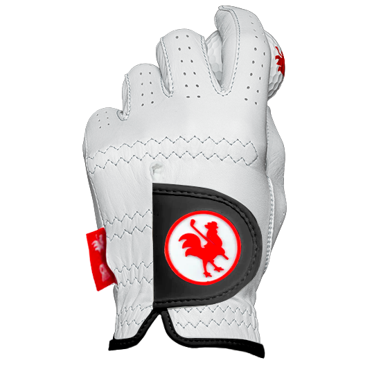The Crow golf glove 