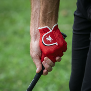 The Comb 2.0 Gloves USA - Red Rooster Golf Inc.