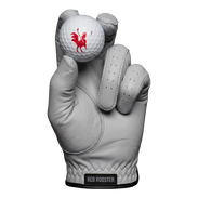 The Scots Silver 2.0 Gloves USA - Red Rooster Golf Inc.