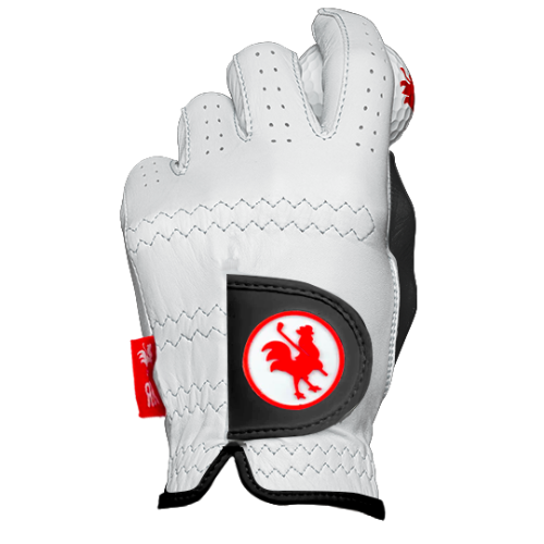 The Wing golf glove