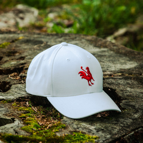 Icon SnapBack - White on a rock