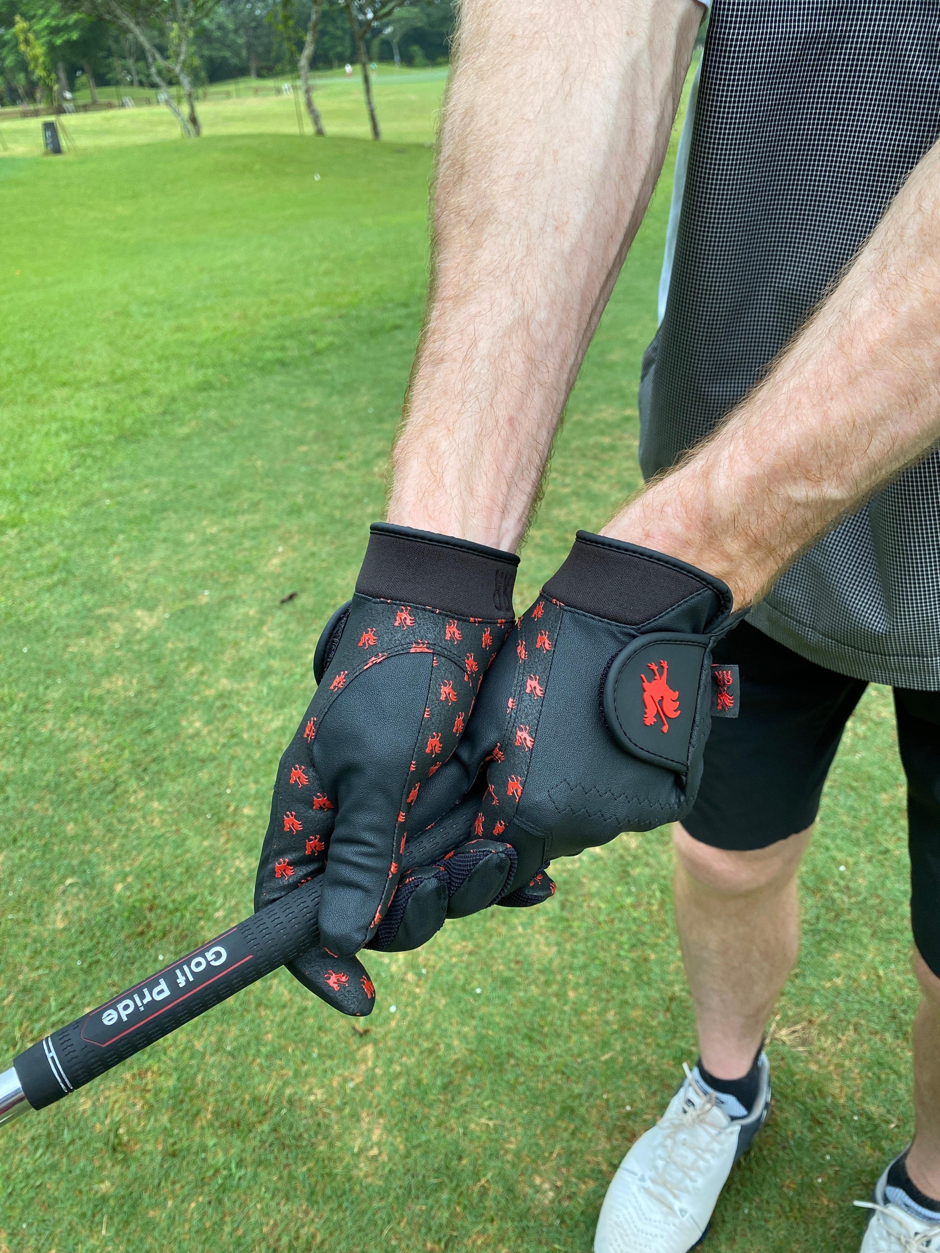Rain Rooster golf glove in man hand