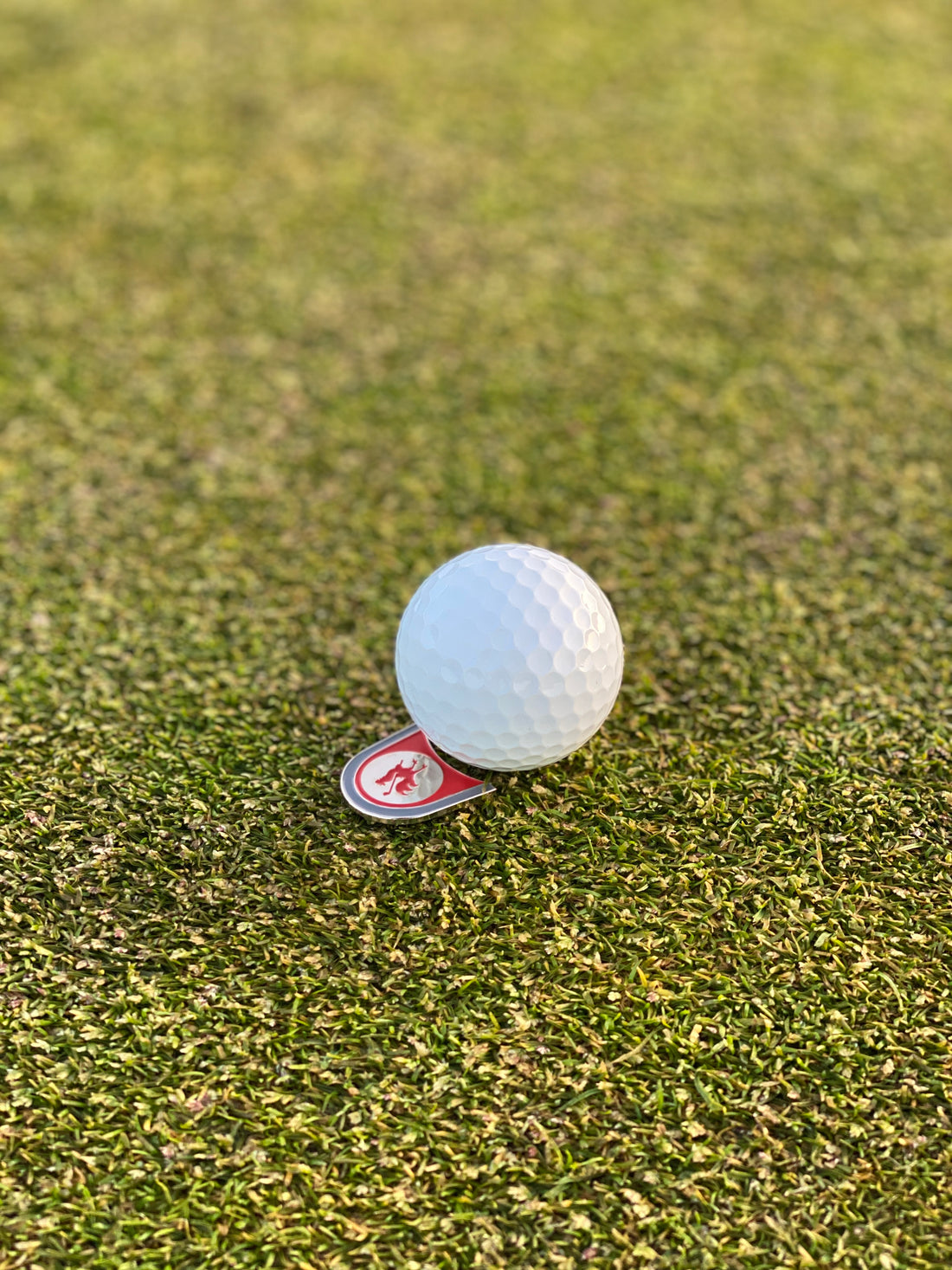 The Coop ball marker with golf ball