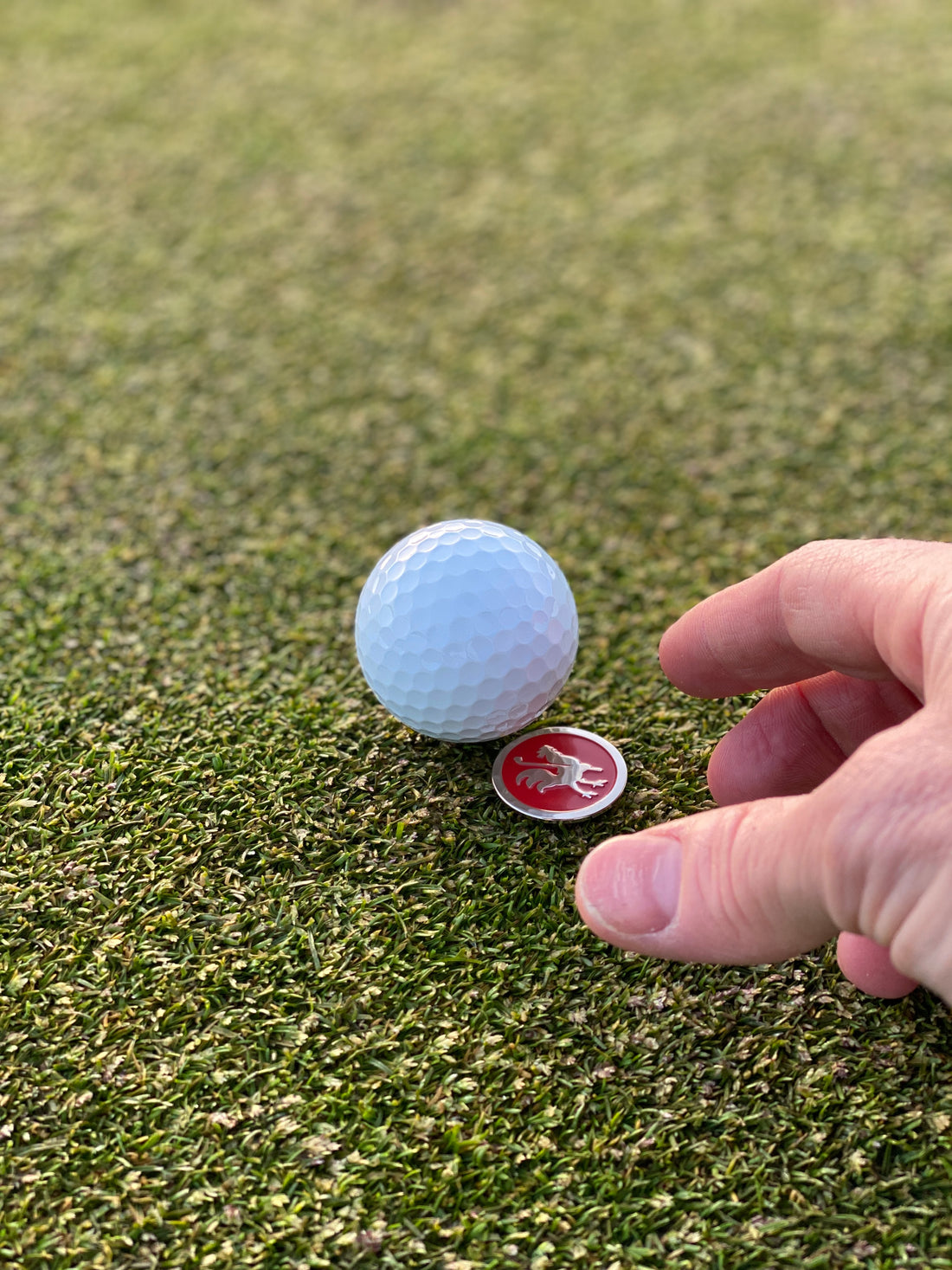 The Standard ball marker with golf ball