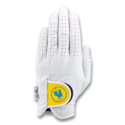 The Sunnyside left hand golf glove