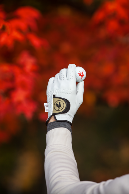 man wearing The Boilermaker golf glove and holding golf ball